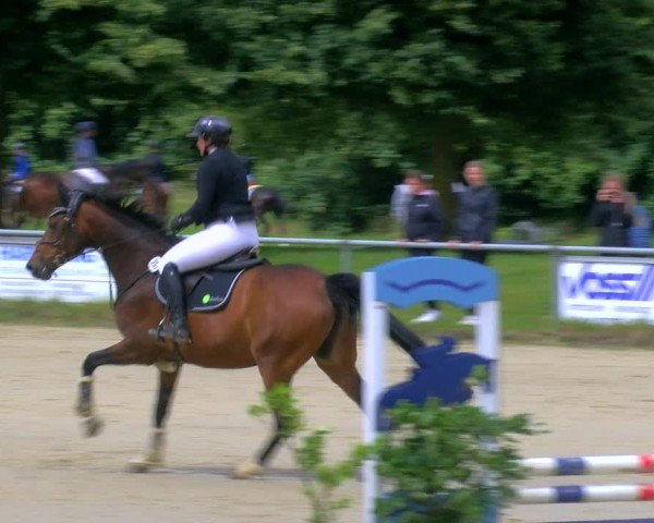 Reitturnier Coesfeld/Lette 2024