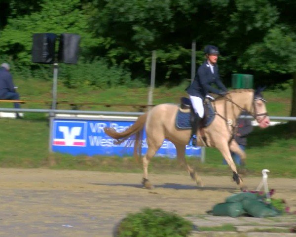 Reitturnier Coesfeld/Lette 2024