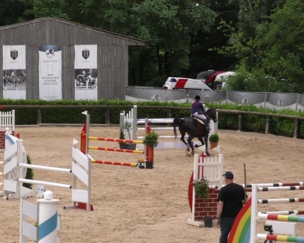 Reitturnier Berching/Opf. 2024