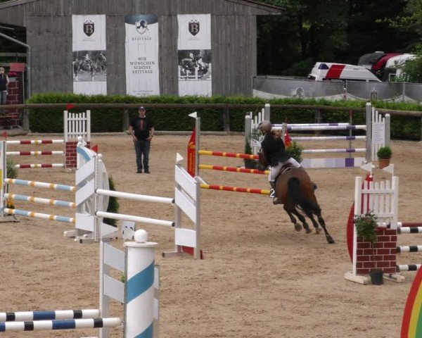 Reitturnier Berching/Opf. 2024