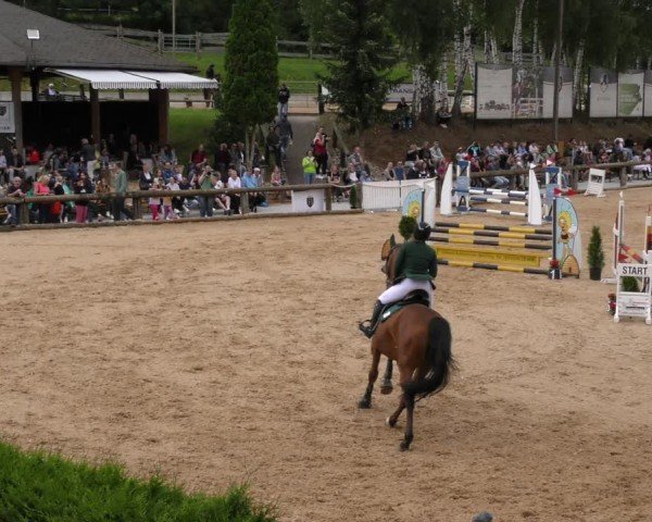Reitturnier Berching/Opf. 2024