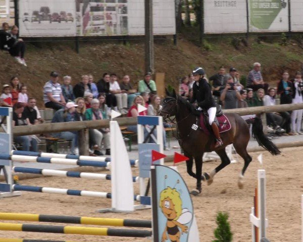 Reitturnier Berching/Opf. 2024