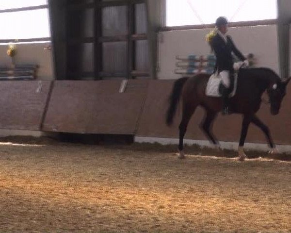 Datteln 2012