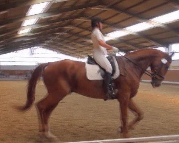 Datteln 2012