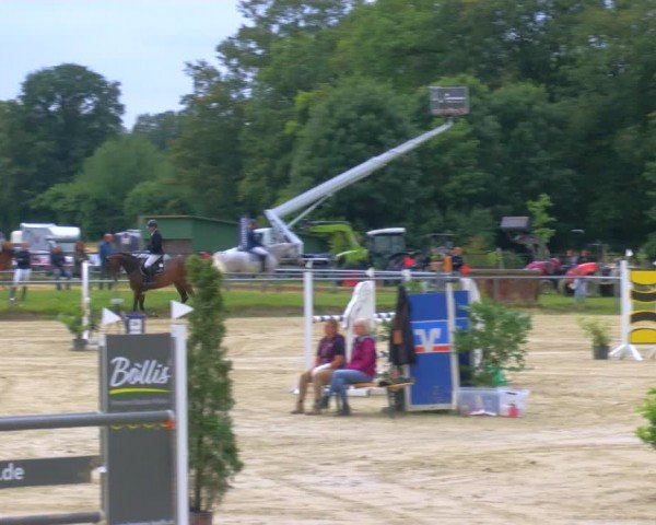 Reitturnier Coesfeld/Lette 2024