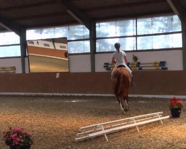 Datteln 2012