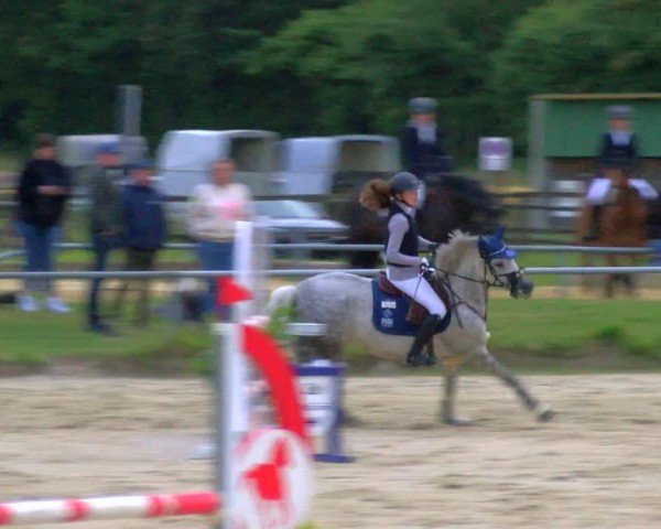 Reitturnier Coesfeld/Lette 2024
