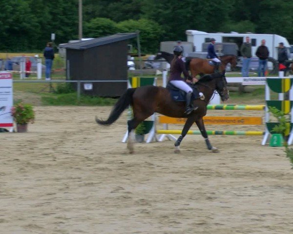Reitturnier Coesfeld/Lette 2024