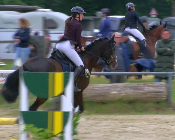 Reitturnier Coesfeld/Lette 2024