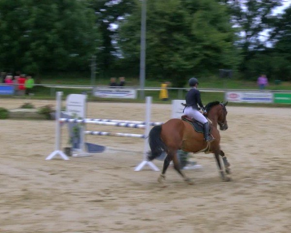 Reitturnier Coesfeld/Lette 2024