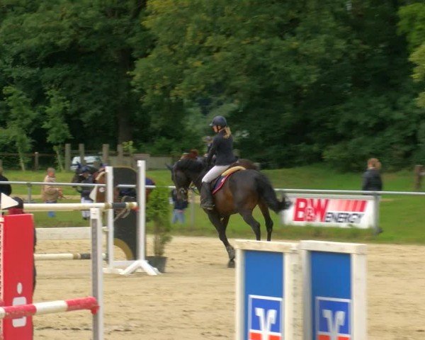 Reitturnier Coesfeld/Lette 2024