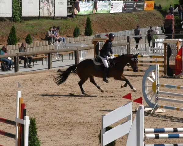 Reitturnier Berching/Opf. 2024