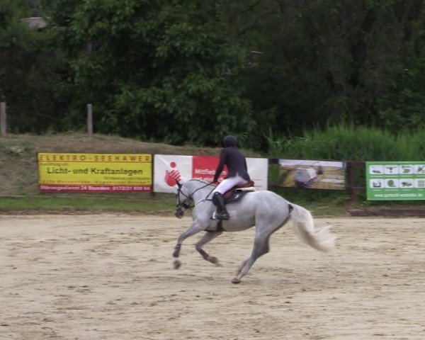 Reitturnier Schönfeld 2024