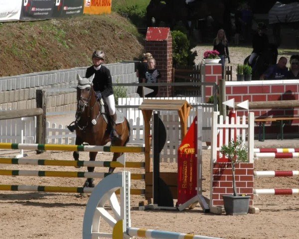 Reitturnier Berching/Opf. 2024