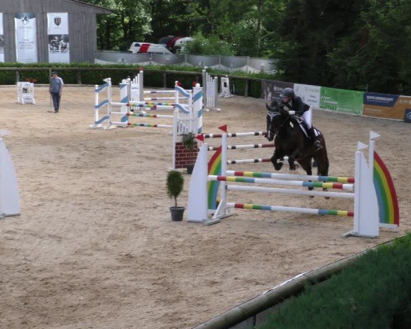 Reitturnier Berching/Opf. 2024