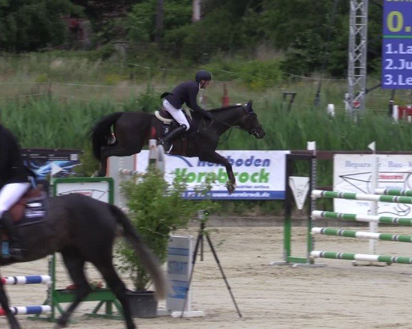 Reitturnier Schönfeld 2024