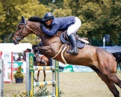 jumper MATCH POINT PS (Hanoverian, 2016, from Messenger)