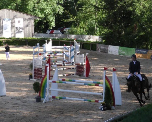 Reitturnier Berching/Opf. 2024
