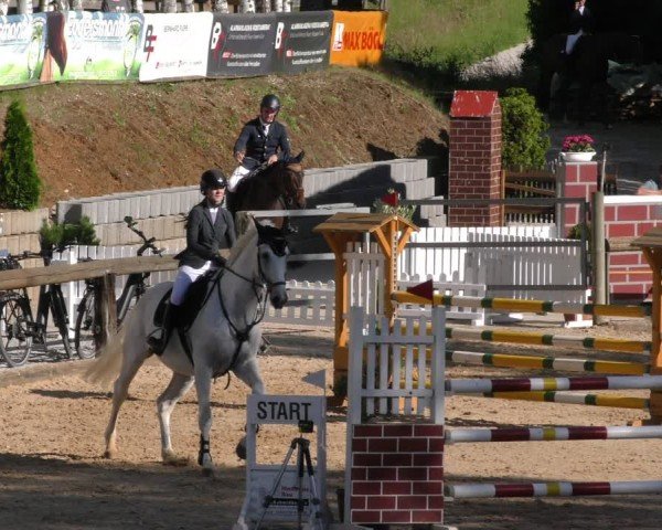Reitturnier Berching/Opf. 2024
