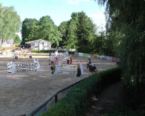 Reitturnier Berching/Opf. 2024