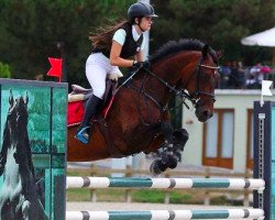 jumper Uljana (KWPN (Royal Dutch Sporthorse), 2001, from Gran Corrado)