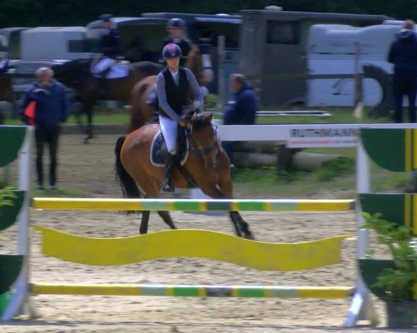 Reitturnier Coesfeld/Lette 2024