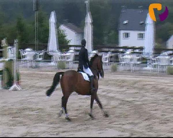 Vosswinkeler Reitertage 2012