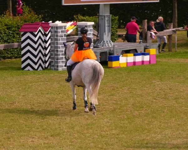 Reitturnier Wingerode 2024