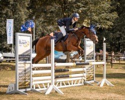 jumper Escalante xx (Thoroughbred, 2017, from Ruler Of The World xx)