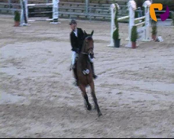 Vosswinkeler Reitertage 2012