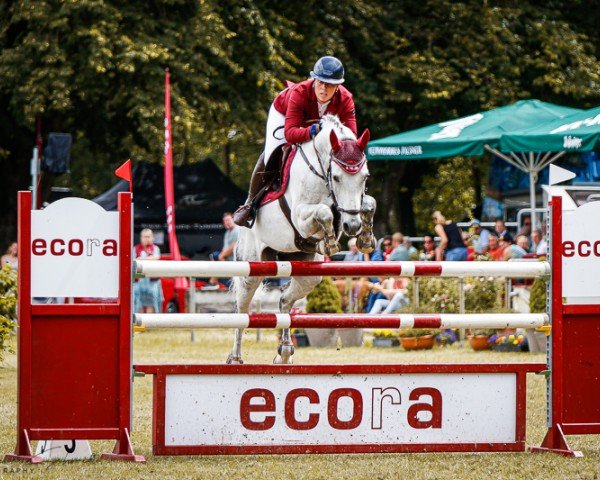 jumper Ciaco Sky (German Sport Horse, 2015, from Ciacomini)