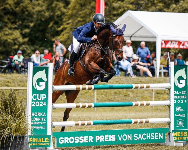 jumper La Paulo 2 (German Sport Horse, 2009, from Lands River 90 FIN)