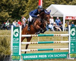 jumper La Paulo 2 (German Sport Horse, 2009, from Lands River 90 FIN)
