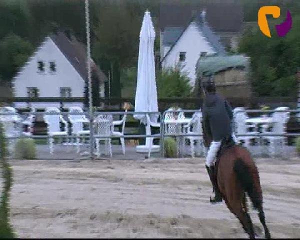 Vosswinkeler Reitertage 2012