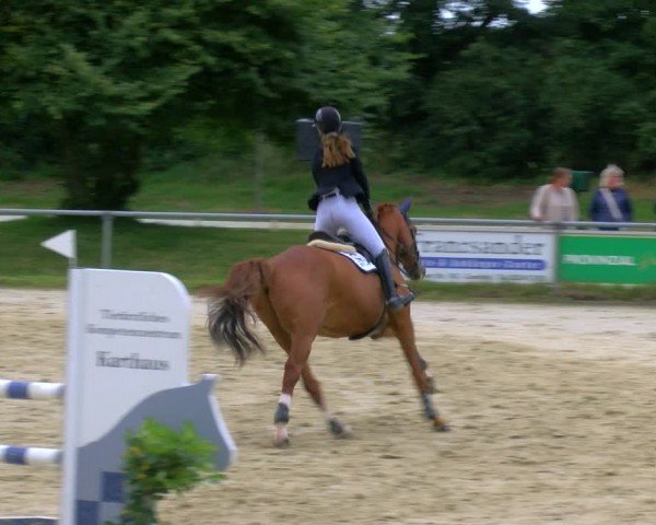 Reitturnier Coesfeld/Lette 2024