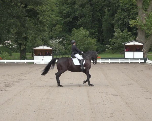 Reitturnier Nörten-Hardenberg 2024