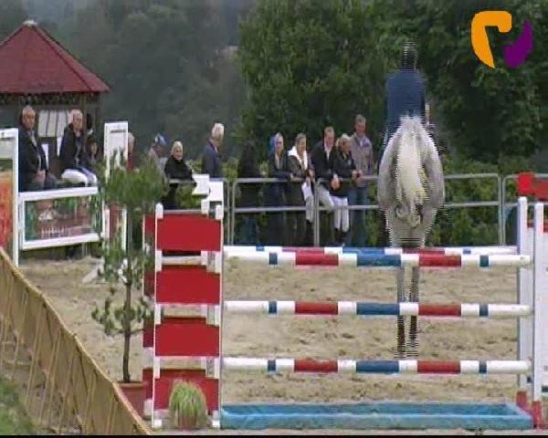 Vosswinkeler Reitertage 2012