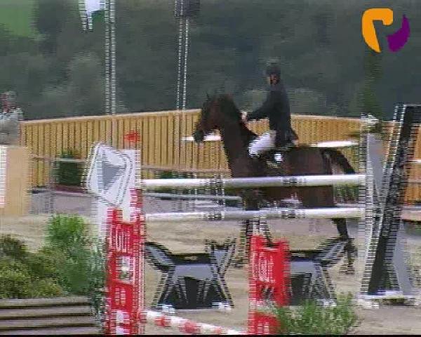 Vosswinkeler Reitertage 2012