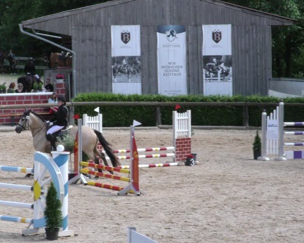 Reitturnier Berching/Opf. 2024