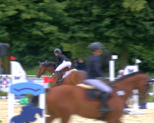 Reitturnier Coesfeld/Lette 2024