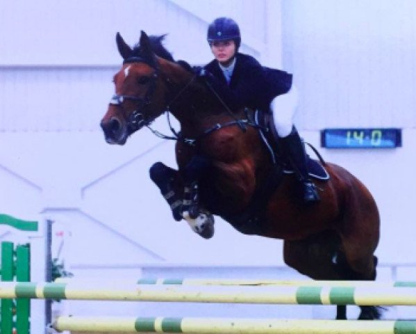 broodmare Ebriolita (KWPN (Royal Dutch Sporthorse), 2009, from Eldorado van de Zeshoek)