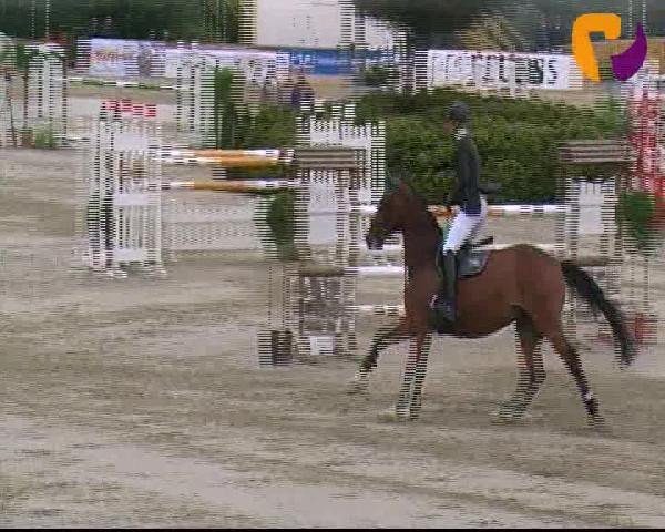 Vosswinkeler Reitertage 2012