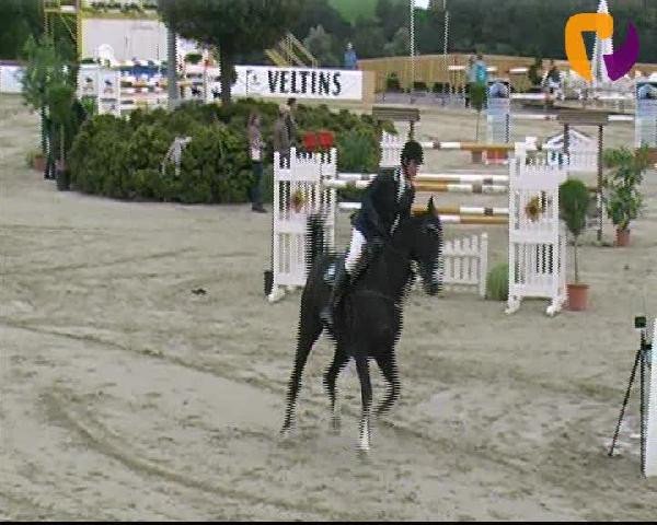 Vosswinkeler Reitertage 2012