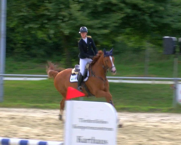 Reitturnier Coesfeld/Lette 2024