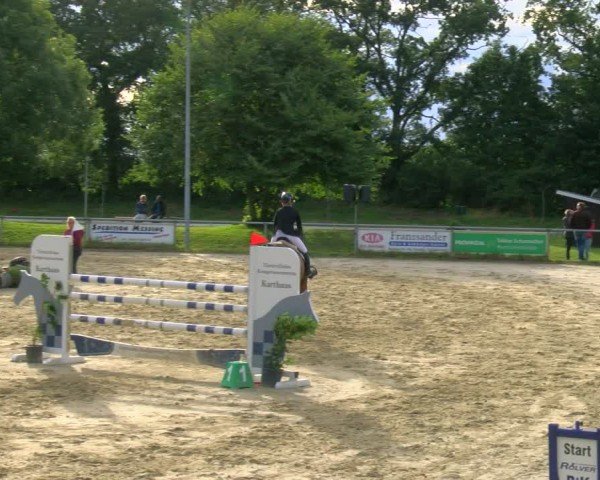Reitturnier Coesfeld/Lette 2024