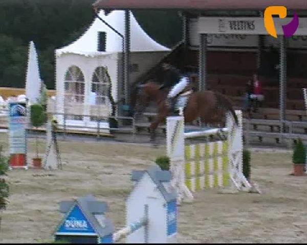 Vosswinkeler Reitertage 2012
