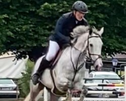 Springpferd Pure Pleasure 6 (KWPN (Niederländisches Warmblut), 2019, von Poker de Mariposa Tn)