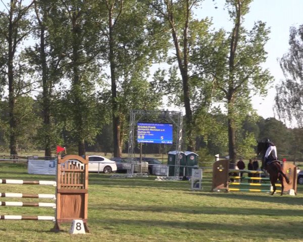 Reitturnier Großwoltersdorf 2021