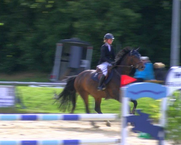 Reitturnier Coesfeld/Lette 2024