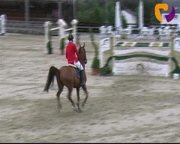 Vosswinkeler Reitertage 2012